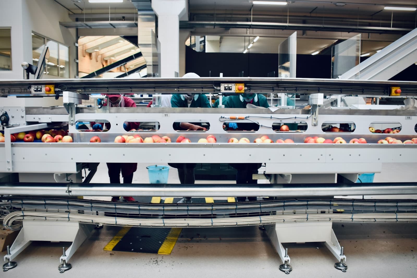 Food & Beverage Manufacturing